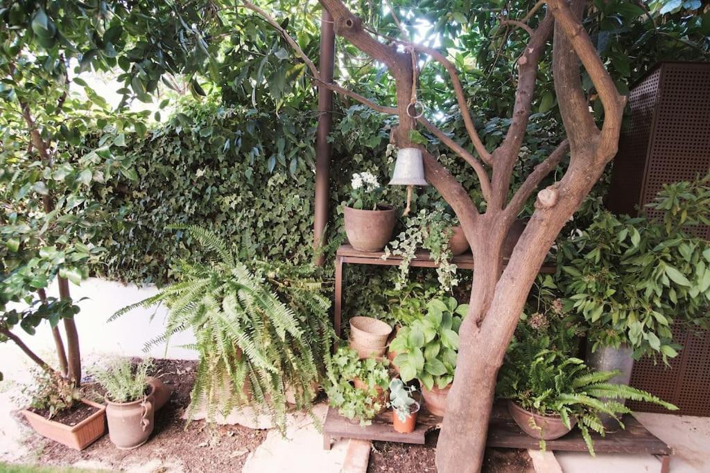 Villa La Casa Del Jardin à Candeleda Extérieur photo